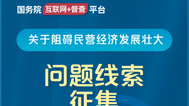 大jb插插插操骚逼逼国务院“互联网+督查”平台公开征集阻碍民营经济发展壮大问题线索